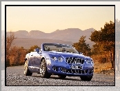 Błękitny, Bentley Continental GTC