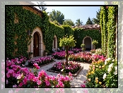 Dom, Bluszcz, Rabaty, Patio, Kwiaty