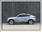 BMW X6, Dynamics, Efficient