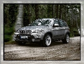 Bmw X5, E70, Las