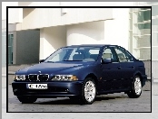 Granatowe, BMW 5