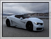 BMW M9