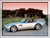 BMW Z8