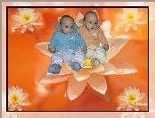 Dwa, Bobasy, Lilie