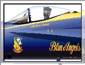 Boeing, F/A-18 Hornet, Kabina