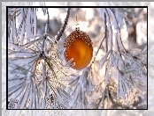 Bokeh, Bombka, Ośnieżone, Gałęzie, Rozmycie