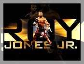 Boks, Roy Jones Jr.