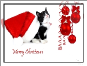 Bombki, Mikołaja, Kot, Czapka