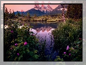Canmore, Rzeka, Kwiaty, Three Sisters Peaks, Góry, Alberta, Kanada, Bow River, Drzewa