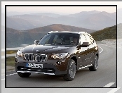 Brązowe, BMW X1, 23d