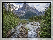 Góry Canadian Rockies, Kolumbia Brytyjska, Kanada, Drzewa, Park Narodowy Yoho, Jezioro O’Hara