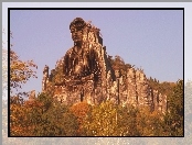 Posąg, Budda, Las