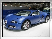 Bugatti Veyron Bleu Centenaire, V12