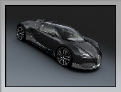 Czarny, Bugatti Veyron