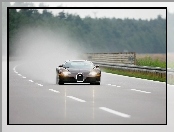 Bugatti Veyron, Gumę, Pali