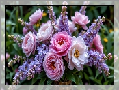 Bukiet, Piwonie, Kwiaty