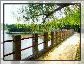 Jezioro, Bulwar, Drzewa