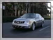 Cadillac DTS, Palmy, Droga