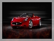 Ferrari California, Maska