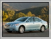 Toyota Camry XLE