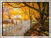 Jesień, New Hampshire, Stany Zjednoczone, Drzewa, Ogrodzenie, Shaker Village, Canterbury
