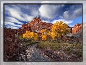 Góry, Utah, Park Narodowy Capitol Reef, Stany Zjednoczone, Skały, Rzeka Sulphur Creek, Drzewa, Jesień