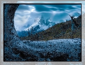 Drzewo, Góry, Park Narodowy Torres del Paine, Chile