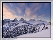 Zima, Chmury, Szwajcaria, Góry, Alpy Berneńskie, Las, Drzewa
