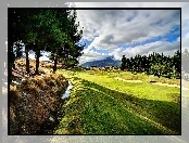 Chmury, Łąka, Pole, Golfowe, Las