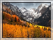 Drzewa, Jesień, Pożółkłe, Chmury, Las, Góry