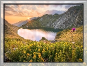 Góry Riła, Chmury, Bułgaria, Jezioro Urdini Ezera, Roślinność, Kwiaty, Promienie słońca