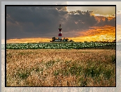Chmury, Norfolk, Latarnia morska, Anglia, Pole, Niebo, Happisburgh Lighthouse
