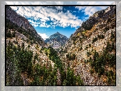 Chmury, Szczyt Uncompahgre Peak, Góry San Juan Mountains, Stany Zjednoczone, Drzewa, Stan Kolorado