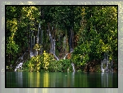 Drzewa, Chorwacja, Plitvice, Park Narodowy Jezior Plitwickich, Wodospady