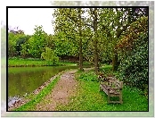 Park, Ścieżka, Ławka