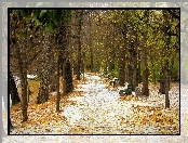 Park, Ścieżka, Ławki