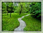 Park, Ścieżka, Fractalius