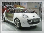 Citroen C-Cactus, Zdjęcie