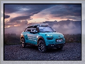 Citroen Cactus M Concept, 2015

