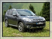 Citroen C-Crosser, Dokładka, SUV