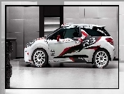 Citroen DS3R