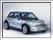 Mini, Clean Energy