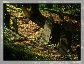 Cmentarz, Żydowski