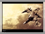 Ace Combat, Symulacja