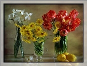 Cytryny, Bukiet, Tulipanów, Narcyzy, Margerytek