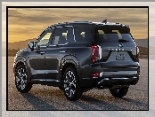 Czerny, Hyundai Palisade