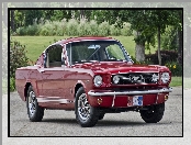 Czerwony, Zabytkowy, Ford Mustang, 1966