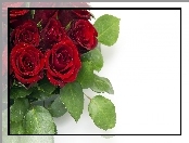 Bukiet, Czerwonych, Roz