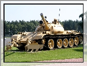 Czołg, Trawa, T-55, Drzewa