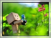 Danbo, Fotograf